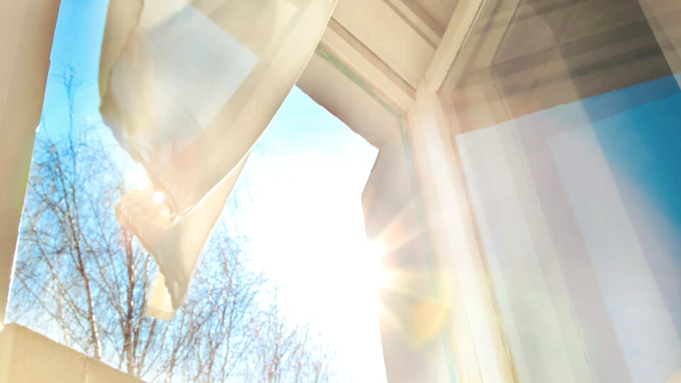 Ce este atlasul mirosurilor urbane? Cum pot fi „citite” orașele pe baza parfumurilor stradale