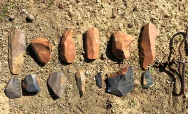Unelte de piatră, vechi de 2,75 milioane de ani, dezvăluie un punct de cotitură în evoluția umană