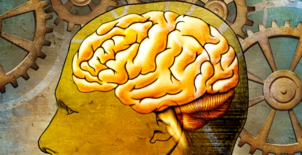Ce s-ar întâmpla dacă cineva ţi-ar atinge creierul? 15 lucruri pe care nu le ştiai – VIDEO