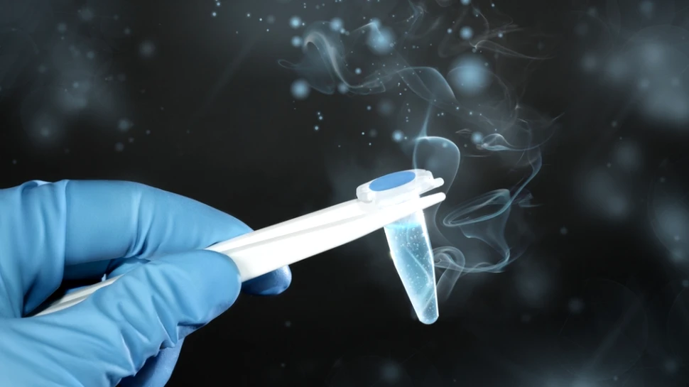 Noua Arcă a lui Noe: ruşii vor să congeleze ADN-urile tuturor vieţuitoarelor care au trăit pe Terra