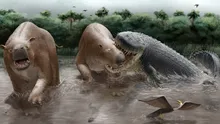 Acești crocodilienii uriași dominau lanțul trofic în America de Sud din Miocen