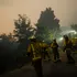 Spania și Portugalia, cuprinse de incendii de vegetație