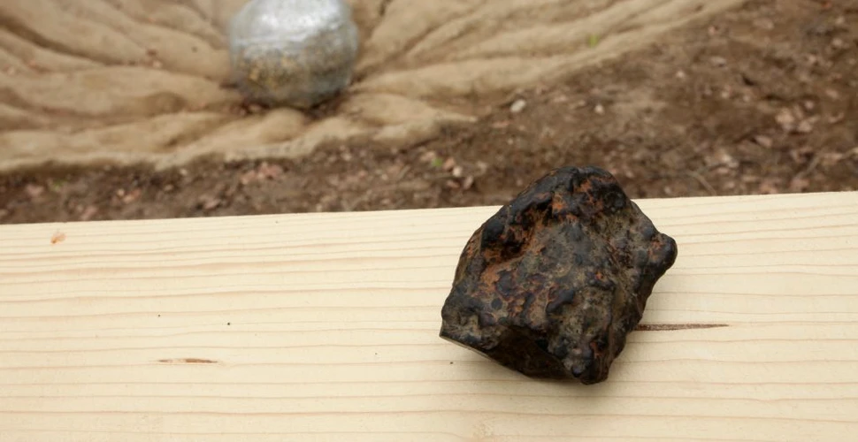 Un meteorit extrem de rar, descoperit pe teritoriul României, poate fi admirat în cadrul expoziţiei Dino Parc Râşnov.  ”Este un exponat extrem de rar şi un obiect nepreţuit”