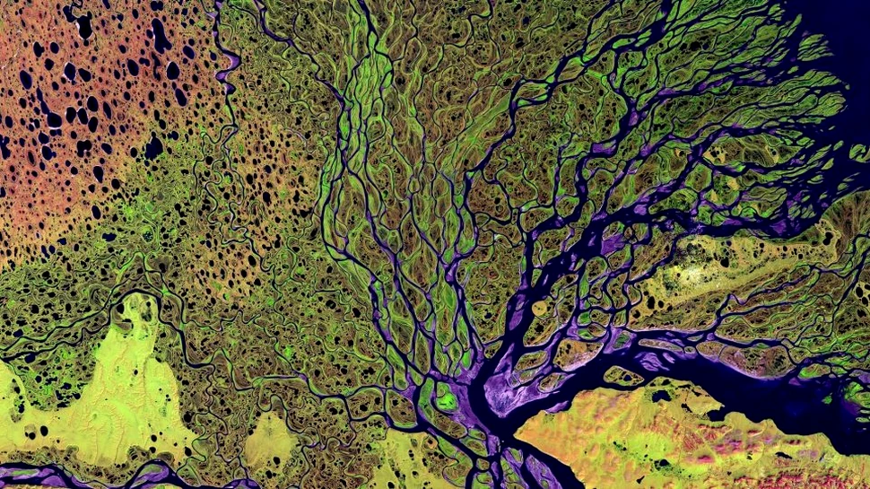 Record îngrijorător de temperatură în Cercul Polar Arctic. 38 de grade Celsius au fost înregistrate în Verkhoyansk
