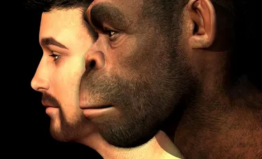 Neandertalii şi oamenii moderni au evoluat în direcţii diferite în urmă cu 800.000 de ani în urmă