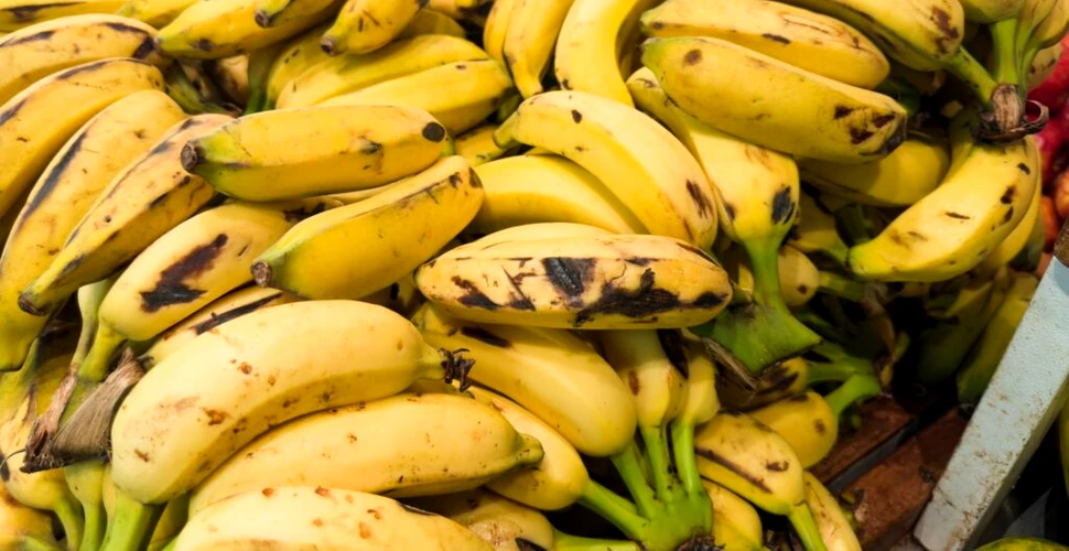 Test de cultură generală. De ce se înnegresc bananele?