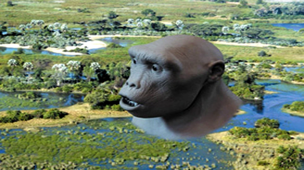 Omul din Toumai, cea mai veche specie de hominid