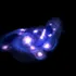 Astronomii au descoperit „Strugurii Cosmici” în Universul timpuriu