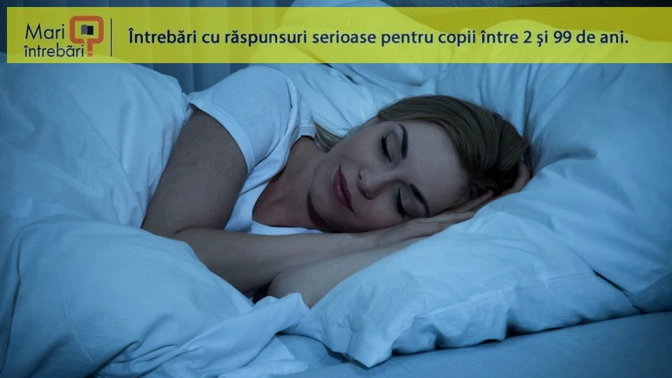 Ce spunem când vorbim în timpul somnului?