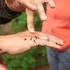 Câte furnici există pe planetă? 2,5 milioane pentru fiecare om