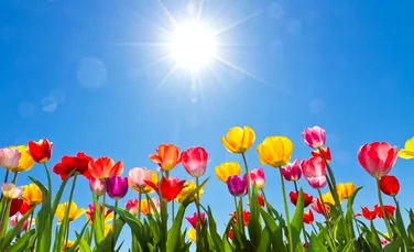 Cum va fi vremea de Florii şi de Paşti? Iată prognoza meteo a specialiştilor