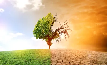 Este oficial: 2024 a fost cel mai cald an din istoria măsurătorilor