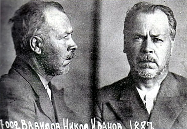 Nikolai Vavilov după arestarea sa de către regimul opresor sovietic