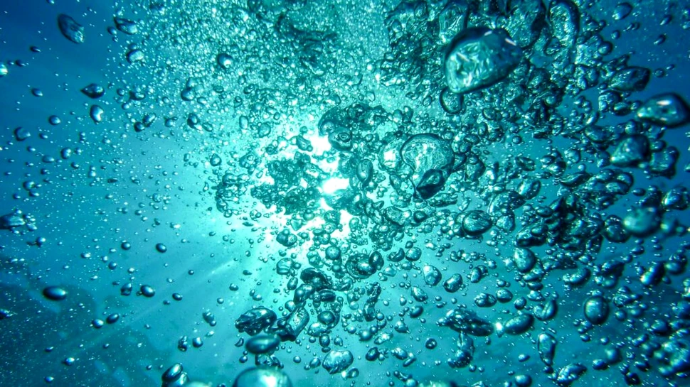 Peste 5.000 de virusuri necunoscute până acum au fost descoperite. Unde se ascundeau?