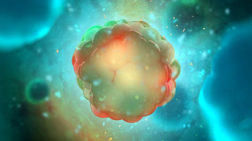 ADN-ul ”dezordonat” favorizează capacitatea celulelor canceroase de a se adapta la tratamente