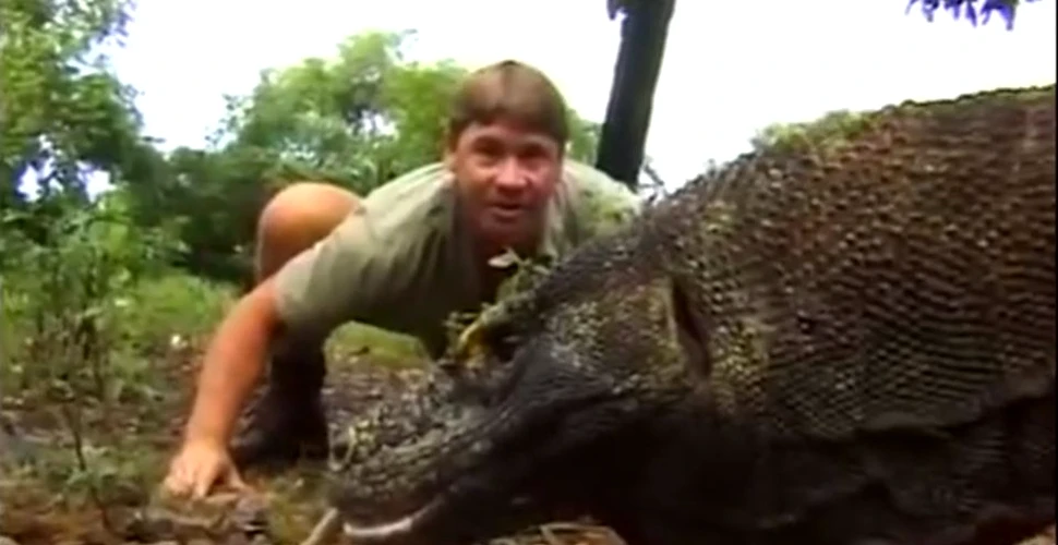 Steve Irwin, cel mai cunoscut ”vânător de crocodili”