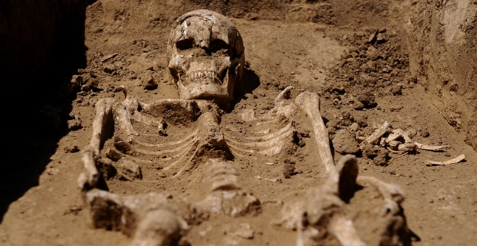 Muncitorii de la Autostrada Transilvania au descoperit o necropolă cu 56 de morminte vechi de peste 2.000 de ani
