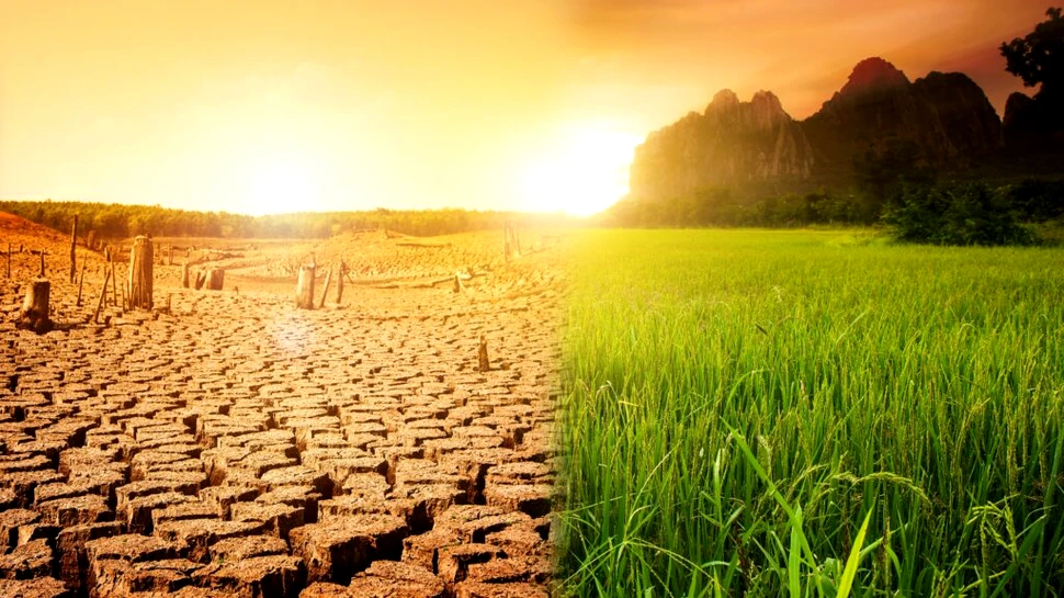 Avertisment: Criza climatică ar trebui declarată urgență globală de sănătate publică