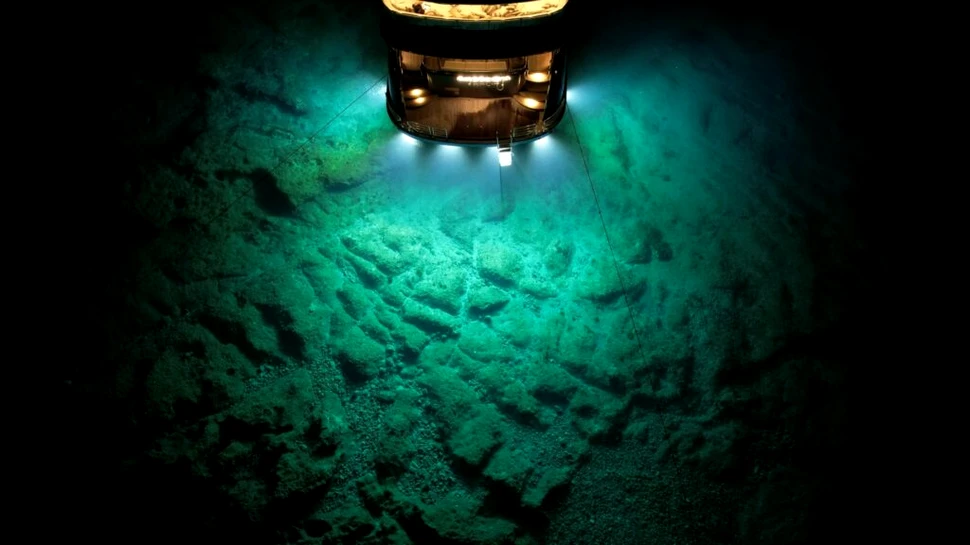 O specie necunoscută a fost descoperită la 4.000 de metri adâncime în ocean