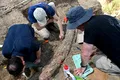 Un fildeș de 500.000 de ani, descoperit în Israel, elucidează un vechi mister