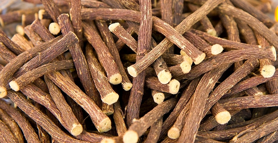 O substanţă descoperită în rădăcina de lemn-dulce ar putea permite combaterea celei mai letale forme de cancer
