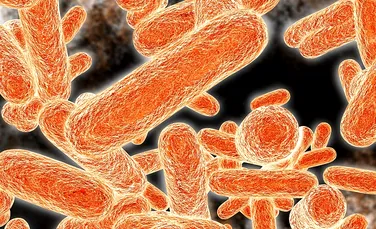 Cercetătorii au descoperit cum pot face antibioticele de 1.000 de ori mai eficiente