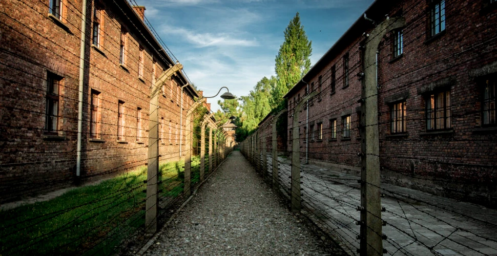 Cum a salvat muzica viața unei violonceliste adolescente de la Auschwitz