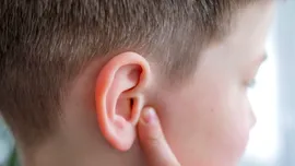 Test de cultură generală. Care parte a corpului uman nu are niciun scop biologic?