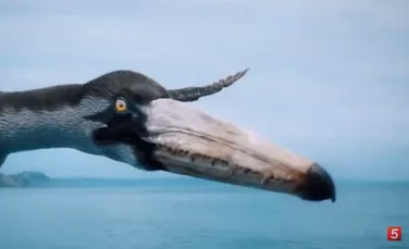 Păsări gigantice zburau deasupra Antarcticii în urmă cu 40-50 de milioane de ani