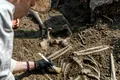 Un peisaj antic dezvăluie rămășițele oamenilor care au trăit acum 100.000 de ani