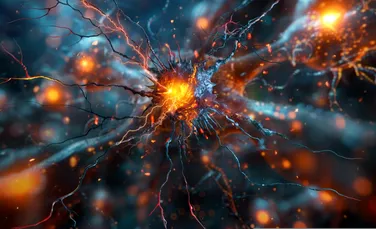Neurologii de la Harvard au descoperit că psihedelicele ar putea „reseta” creierul