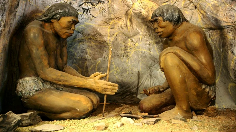 Semnele distinctive ale unui ritual canibalistic, descoperite într-o peşteră din Regatul Unit