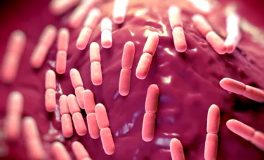 Experţii au descoperit că bacteriile pot comunica prin impulsuri electrice, iar acest lucru este îngrijorător – VIDEO