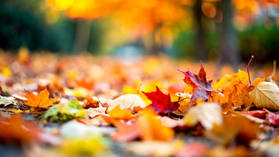 Trecem de la temperaturi de vară, direct la frig și ploi, anunță meteorologii