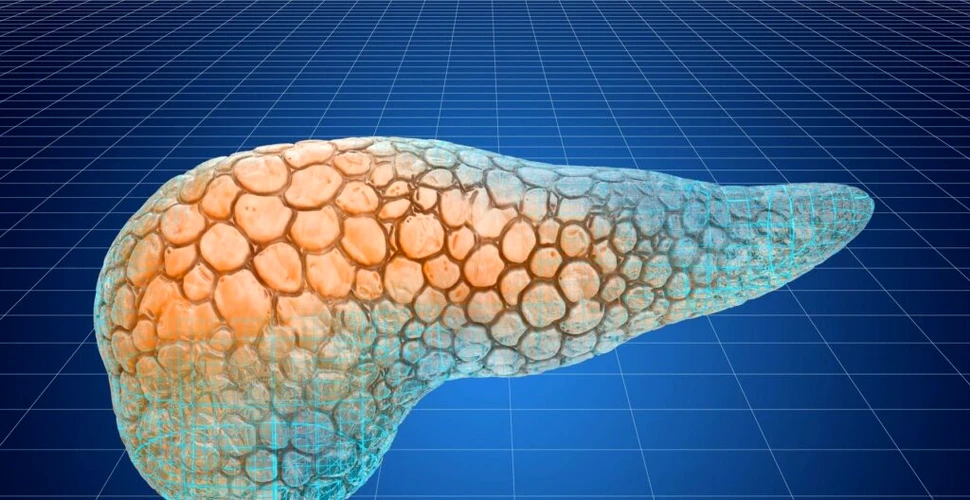 Pancreasul artificial s-a dovedit eficient în tratarea diabetului de tip 2