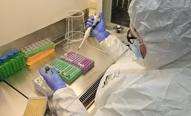 Originea antică a herpesului, confirmată de un schelet de acum 2.500 de ani