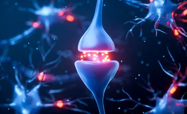 20 de lucruri uimitoare despre creierul uman