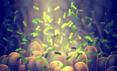 A fost găsită bacteria intestinală care ar putea opri dependența de mâncare