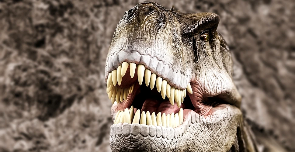 Descoperirea unui dinte de tiranozaur ajută la rezolvarea unei controverse referitoare la temutul T-rex