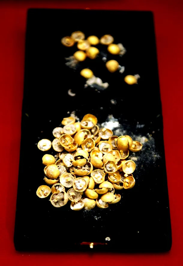 Nasturii de aur au fost găsiţi în număr mare în tezaur.