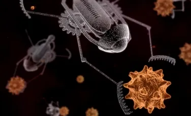 Nanorobotii au inceput sa creeze controverse