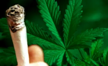 Marijuana-Ultima speranta impotriva cancerului?