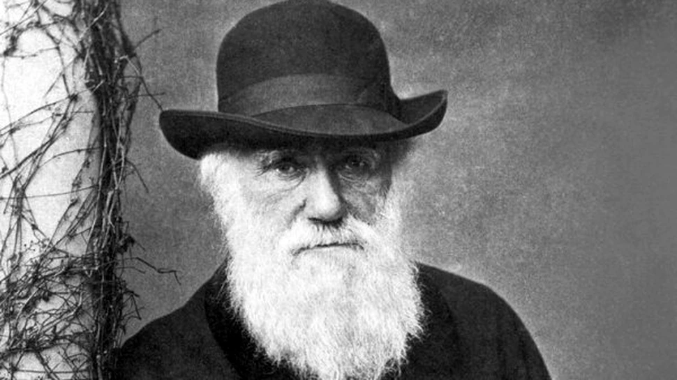 Concediata din cauza lui Darwin