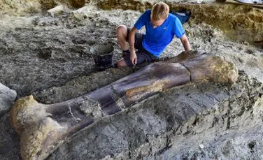 Un femur de sauropod a fost descoperit în Franţa