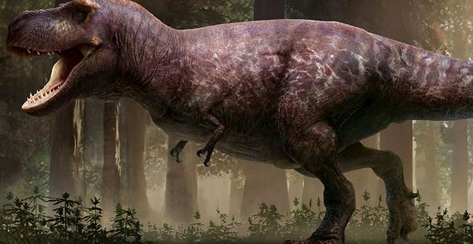 Dolofan şi gol: Aceasta este cea mai clară reconstrucţie a marelui dinozaur T-rex