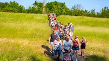 Avondvierdaagse: tradiția olandeză care aduce împreună comunități întregi prin mers pe jos