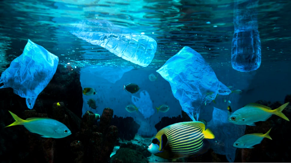 Fundul oceanelor este „un rezervor” de plastic, arată un studiu în premieră