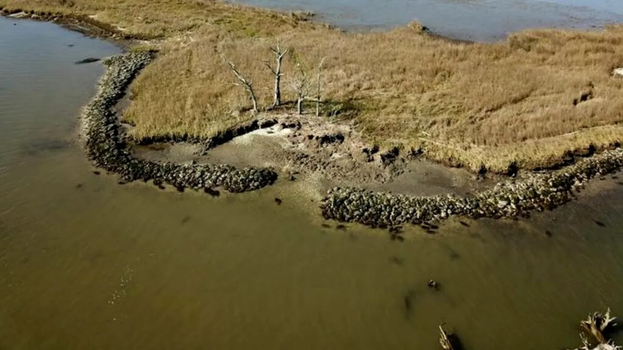 siturile arheologice 