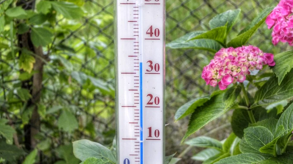 Caniculă și disconfort termic în România. Ce temperaturi au anunțat meteorologii?