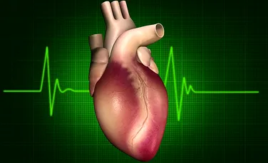 Vom scăpa de bolile de inimă? O reuşită ştiinţifică extraordinară ne apropie de acest moment